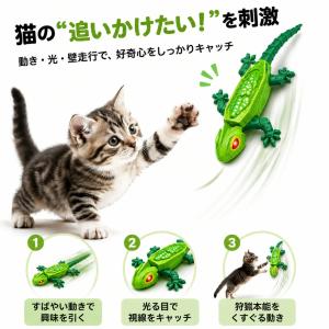 猫用 電動ヤモリおもちゃ|壁走行&床走行2WA...の詳細画像1