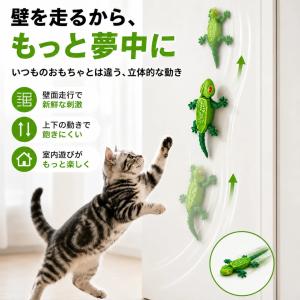 猫用 電動ヤモリおもちゃ|壁走行&床走行2WA...の詳細画像3