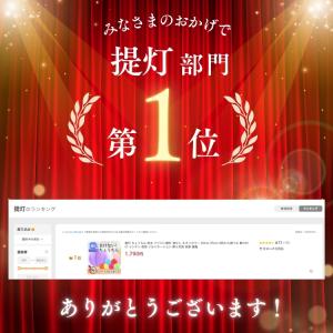 提灯 ちょうちん 防水 ナイロン提灯 透かし ...の詳細画像1