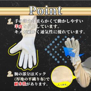 ガーデングローブ ガーデニング グローブ ガー...の詳細画像3