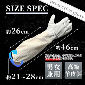 ガーデングローブ ガーデニング グローブ ガー...の詳細画像5