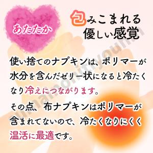 布ナプキン 防水 1枚から試せる! 繰り返し使...の詳細画像4