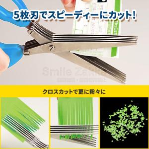 メール便対応 秘密を守りきります ブルー シュ...の詳細画像2