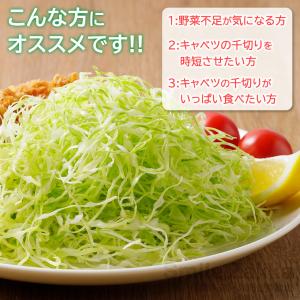 3倍速 トリプルウェーブ スライサー スーパー...の詳細画像3
