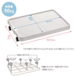 スマートキャリー 板台車 耐荷重50kg 日本...の詳細画像5