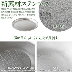 ステンレスプレート21cm 逸品物創 新銀河 ...の詳細画像3