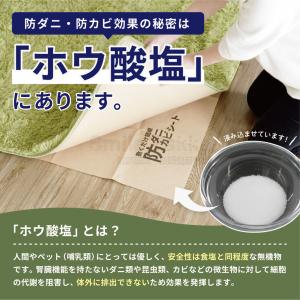 防ダニシート 1畳用 3畳用 6畳用 防カビシ...の詳細画像2