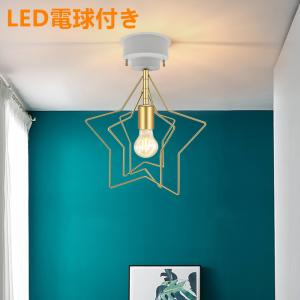 送料無料 秋月貿易 フレンチアイアン バードゲージ シャンデリア