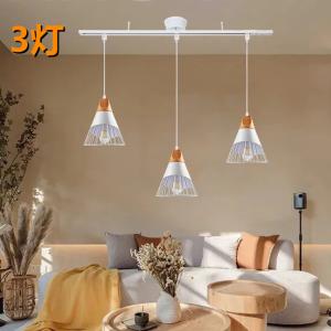 大光電機 ダクトレール用ペンダント DPN41248Y : アートライティング