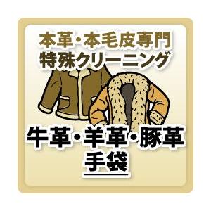 牛革・羊革・豚革/手袋//本革特殊品クリーニング