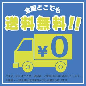 タジマ Tajima LEDヘッドライト M5...の詳細画像4