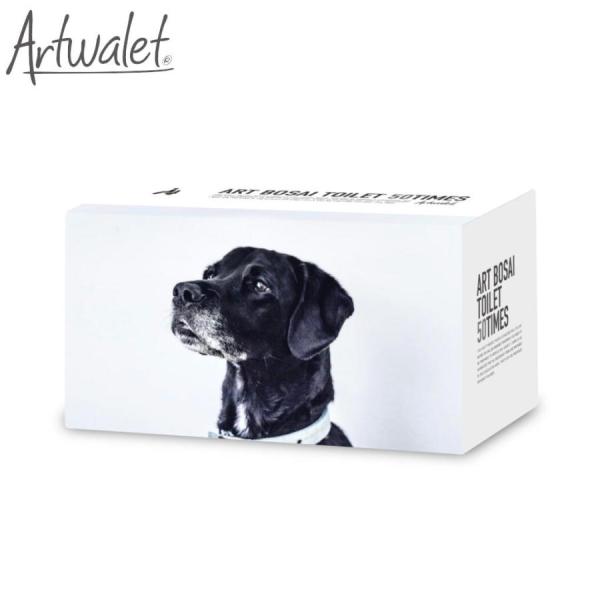 簡易トイレ 防災用品 マイレット アートトワレ Artwalet 50回分 ATW-50 おしゃれ ...