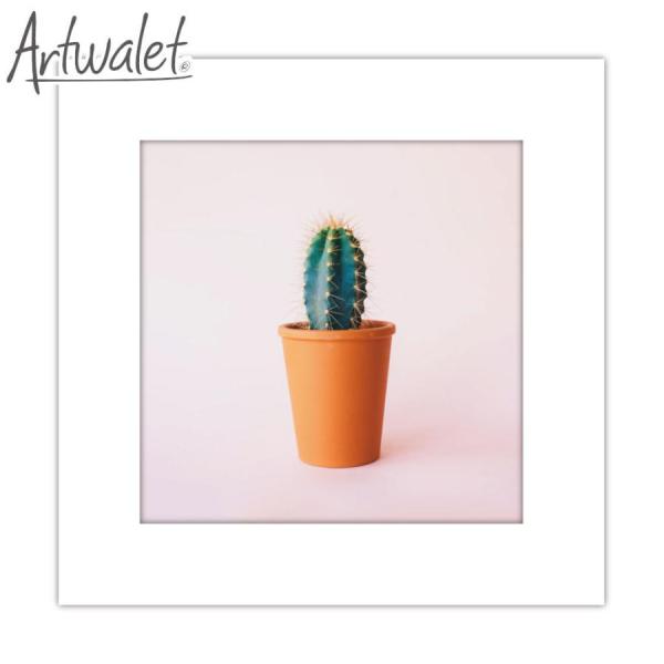 簡易トイレ 防災用品 マイレット アートトワレ Artwalet 5回分 001 サボテン おしゃれ...