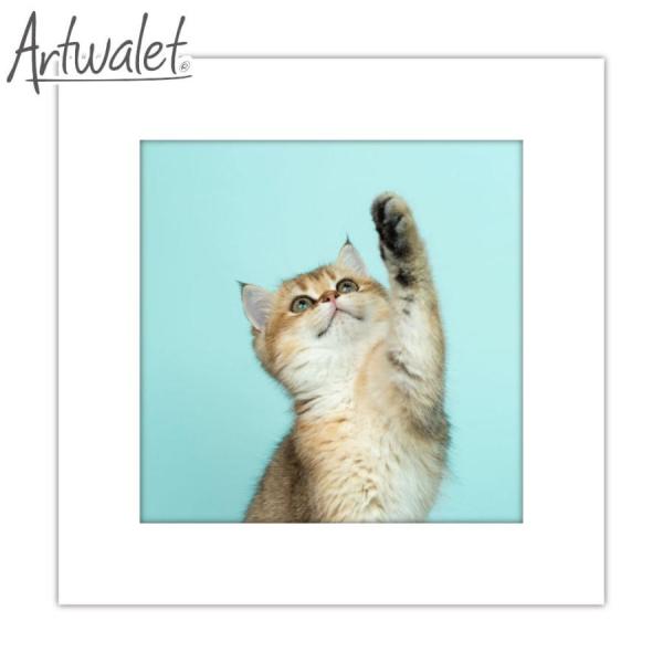 簡易トイレ 防災用品 マイレット アートトワレ Artwalet 5回分 003 cat おしゃれ ...