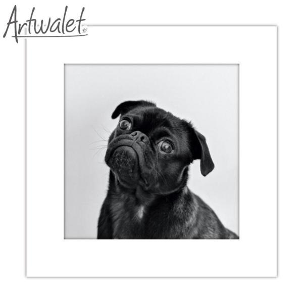 簡易トイレ 防災用品 マイレット アートトワレ Artwalet 5回分 006 dog おしゃれ ...