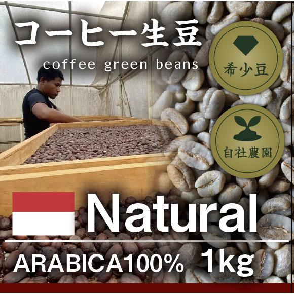 ガヨ　ナチュラル　アウリア　 1kg