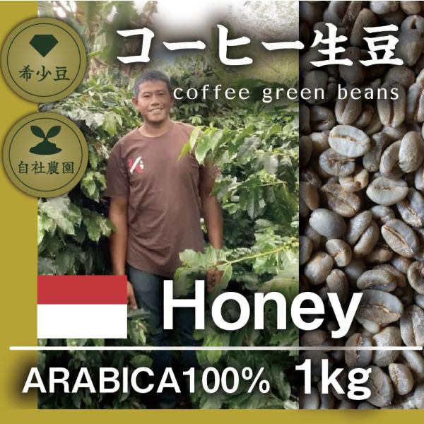 ガヨ　ハニー　アウリア 1kg