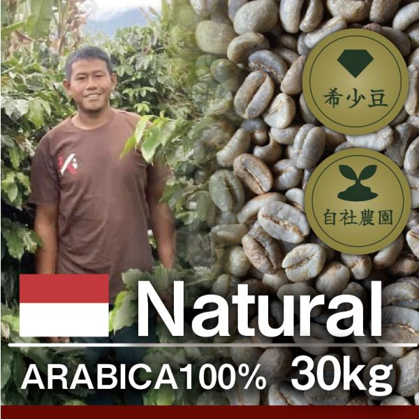 ガヨ　ナチュラル　アウリア　 30kg