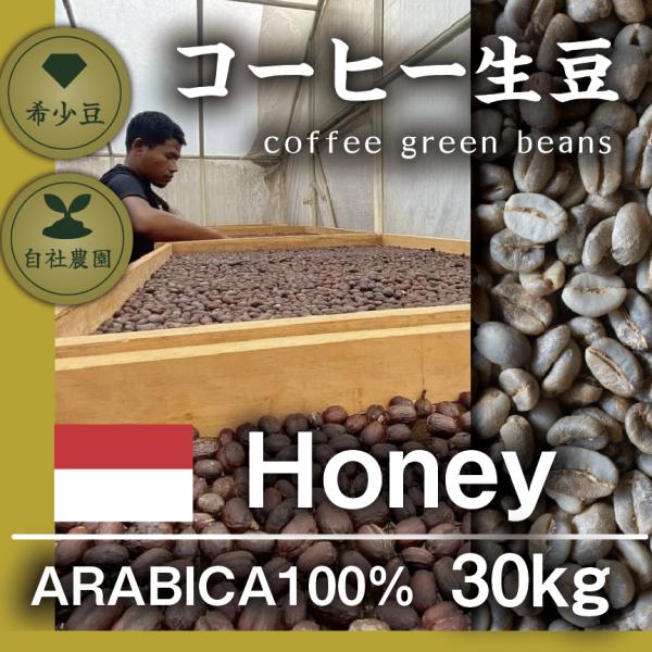 ガヨ　ハニー　アウリア　 30kg