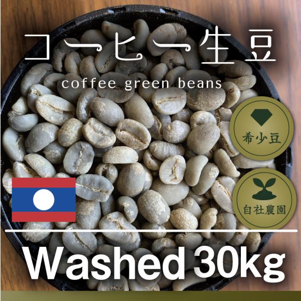 ガヨ　フルウォッシュ　アスマン　 30kg