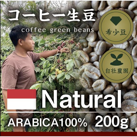 ガヨ　ナチュラル　アウリア　２００ｇ