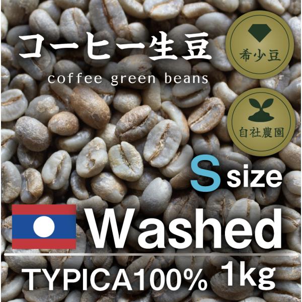 幻のラオスデラピカコーヒー　フルウォッシュ　Ｓサイズ　１kg
