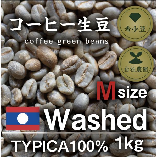 幻のラオスデラピカコーヒー　フルウォッシュ　Ｍサイズ　１kg