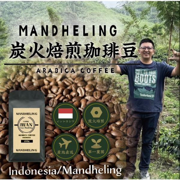 マンデリンコーヒー焙煎豆100g 200g 500g 1kg 2kg 炭火焙煎 ニュークロップ ホー...