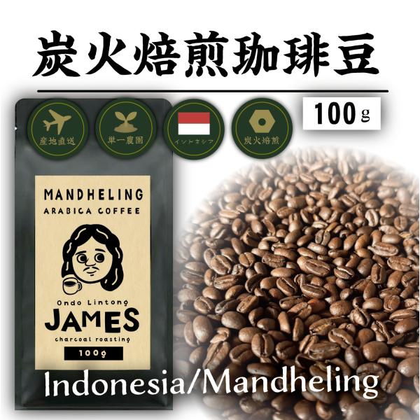コーヒー豆100g 炭屋の炭火焙煎マンデリン ニュークロップ ホールビーンズ 新豆 自家焙煎珈琲豆 ...