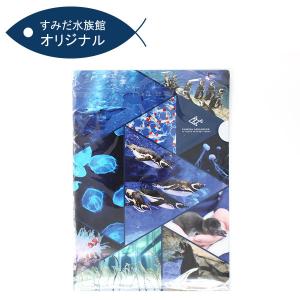 すみだ水族館 オリジナル フォト A4クリアファイル｜sumida-aquarium
