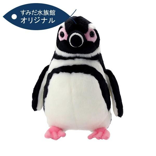 すみだ水族館 オリジナル 飼育員監修 マゼランペンギン ぬいぐるみ Mサイズ