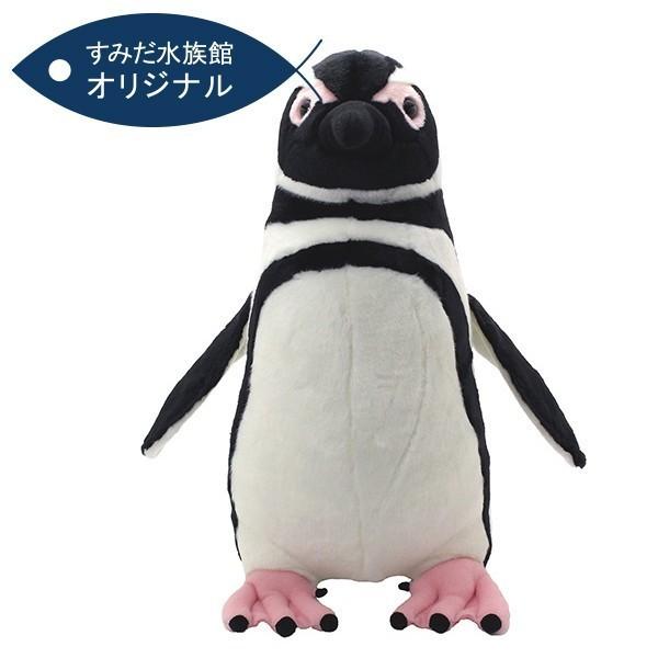すみだ水族館 オリジナル 飼育員監修 マゼランペンギン ぬいぐるみ 等身大