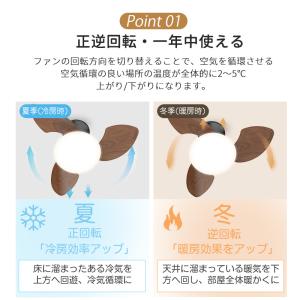 ＼モップ特典/シーリングファンライト 木目調シ...の詳細画像5
