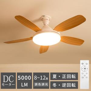 大光電機 安心のメーカー保証 【インボイス対応店】ASN009W シーリング