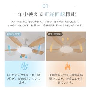 【クーポンで8800円】シーリングファンライト...の詳細画像2