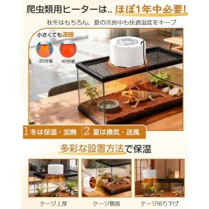 お得な2台 単品3980円【爬虫類小型動物専用...の詳細画像1