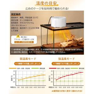 お得な2台 単品3980円【爬虫類小型動物専用...の詳細画像2