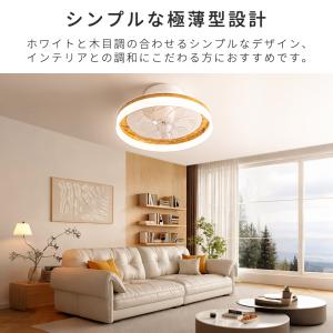 超paypay祭限定クーポン【2026限定モデ...の詳細画像2