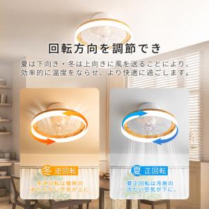 超paypay祭限定クーポン【2026限定モデ...の詳細画像3