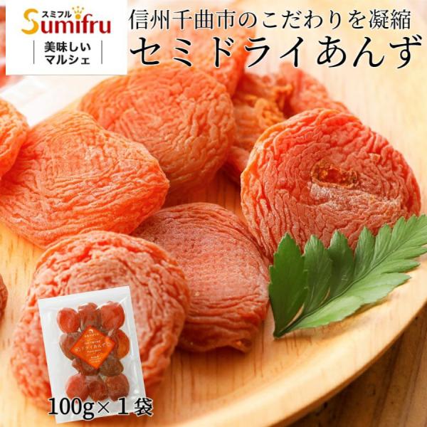 セミドライあんず (100g×1袋) ギフト プレゼント 長野県産 あんず