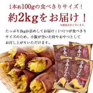 【 複数セット購入するほどお得に!】 冷凍焼き...の詳細画像2
