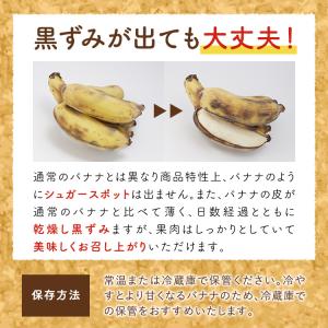 バナップル 2パック スミフル開発品種 フィリ...の詳細画像4