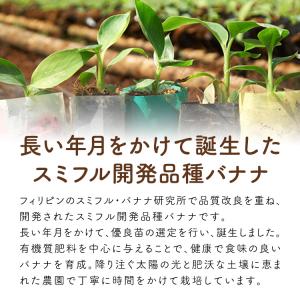 バナップル 2パック スミフル開発品種 フィリ...の詳細画像5