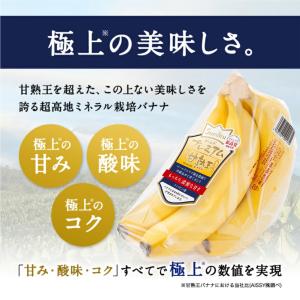 甘熟王ゴールドプレミアム 3パック スミフル ...の詳細画像1