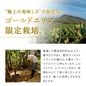 甘熟王ゴールドプレミアム 3パック スミフル ...の詳細画像5