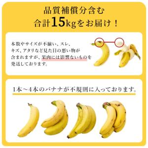 バナナ 業務用 訳あり 甘熟王 約15kg フ...の詳細画像3