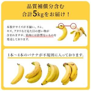 バナナ 業務用 訳あり 甘熟王 約5kg フィ...の詳細画像2