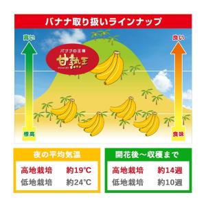 バナナ 業務用 訳あり 甘熟王 約5kg フィ...の詳細画像5