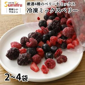 Delcy [冷凍] 果実もりもりパックシリーズ 3種類 各2個 ( ブルーベリー