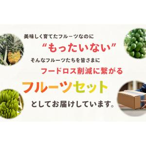 果物 訳あり フルーツ詰め合わせ 約7kg 大...の詳細画像1